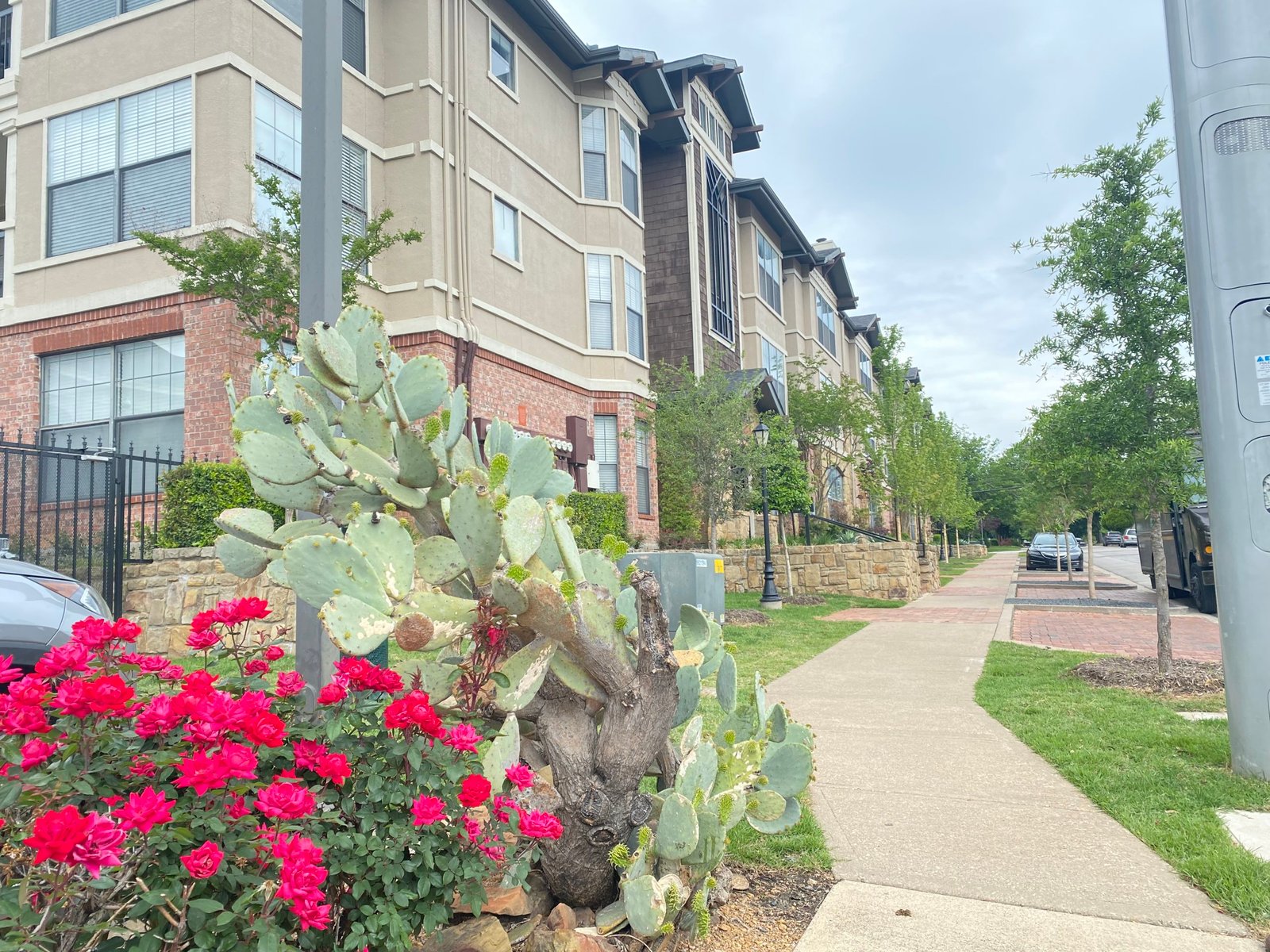 Choose the Right Apartment Locator in Dallas