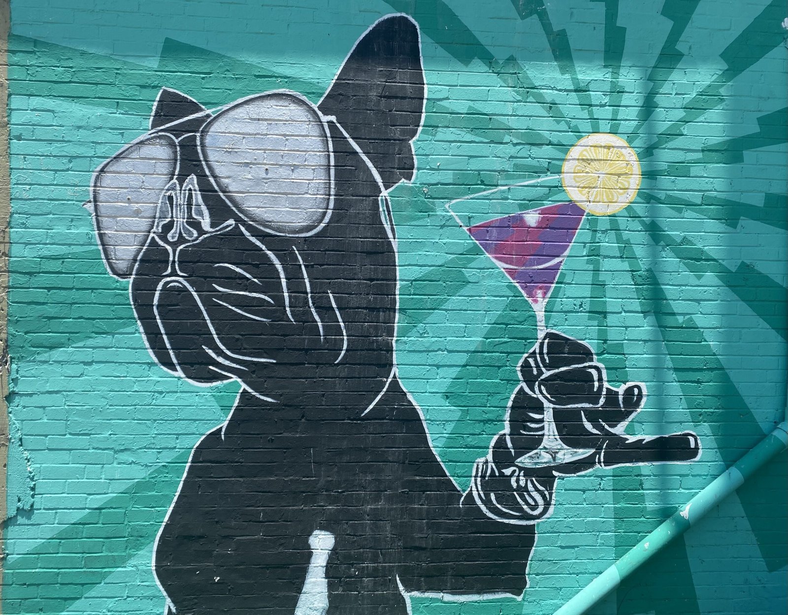 Pet-Friendly Apartments in Dallas, TX city life dog with martini street art in Dallas' Uptown